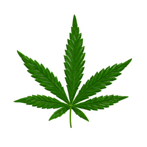 Cannabis PNG-32041